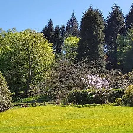 Bed and breakfast Foxghyll