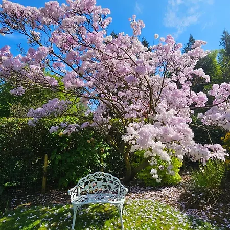 Frühstückspension Foxghyll Ambleside