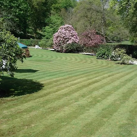 Frühstückspension Foxghyll