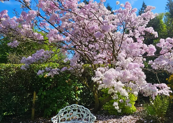 Bed & Breakfast Foxghyll Ambleside