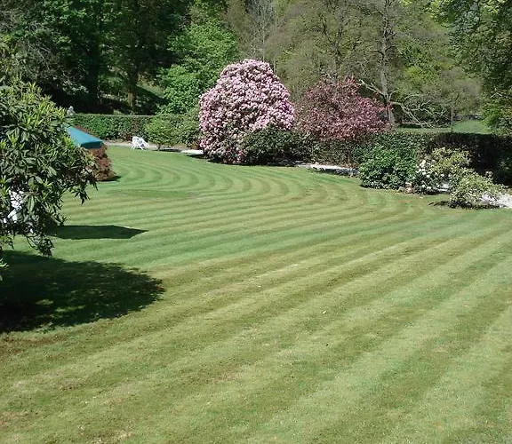 Bed & Breakfast Foxghyll