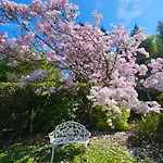 Bed and Breakfast Foxghyll Ambleside