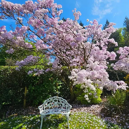 Bed & Breakfast Foxghyll Ambleside