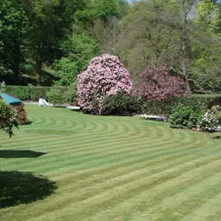 Foxghyll